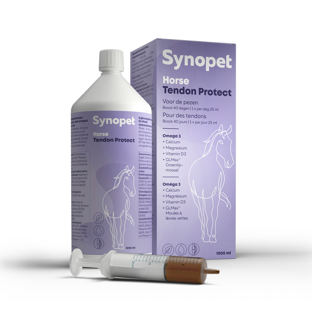 Synopet Horse Tendon Protect