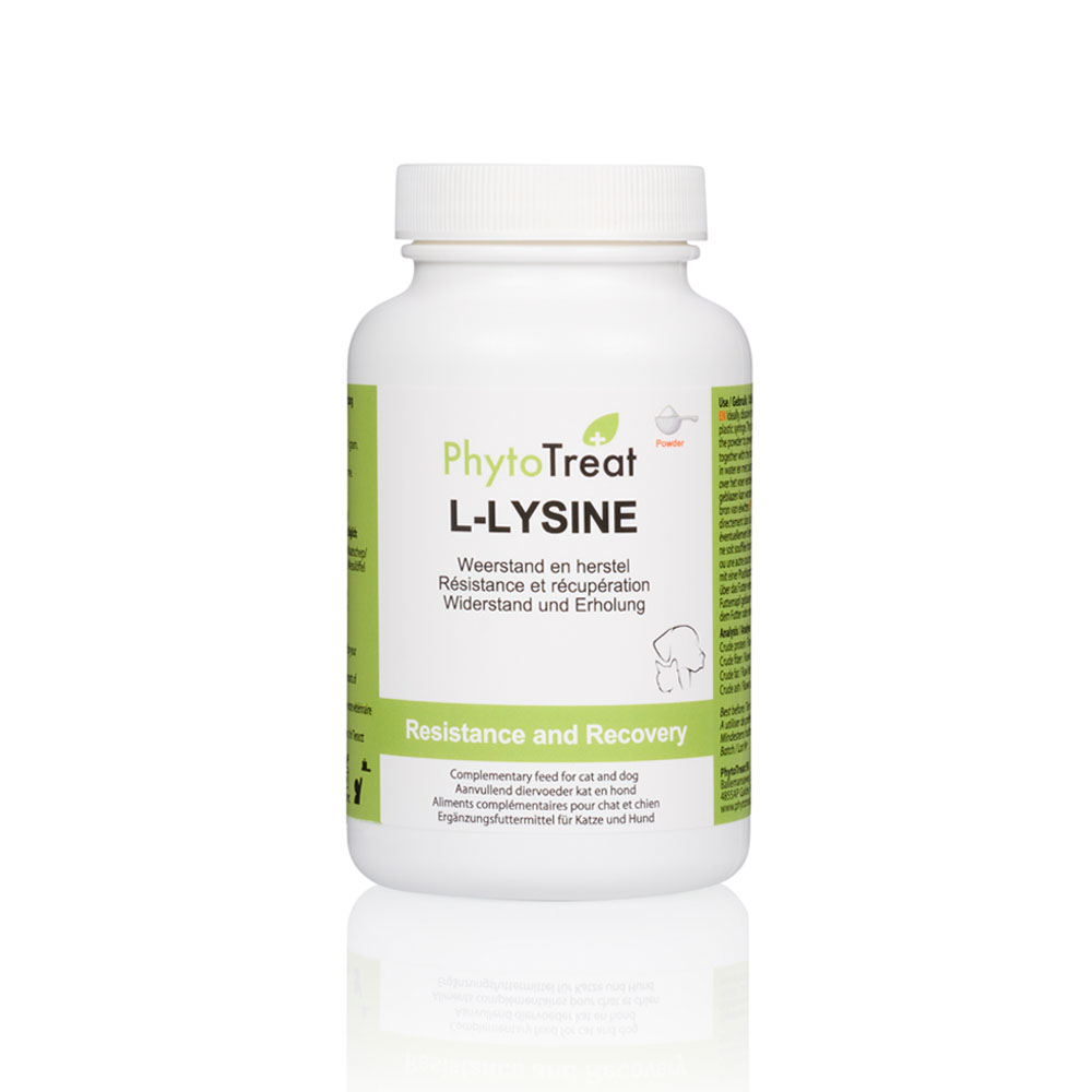 L-Lysine - Image 3