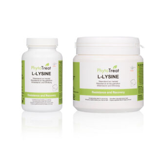 L-Lysine
