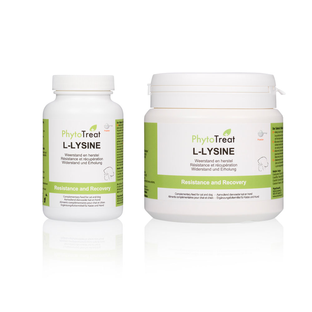 L-Lysine